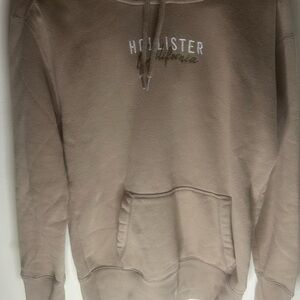 Hollister Embroidered Logo Hoodie in Taupe Brown